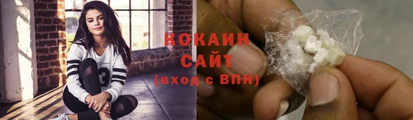твердый Аркадак
