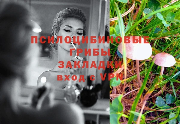 прущие крисы Арсеньев