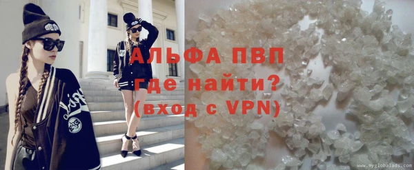 твердый Аркадак