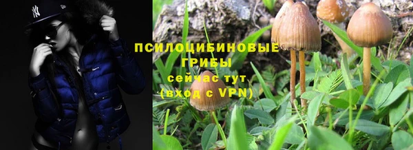 мяу мяу мука Армянск