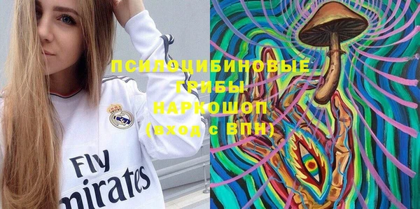 твердый Аркадак
